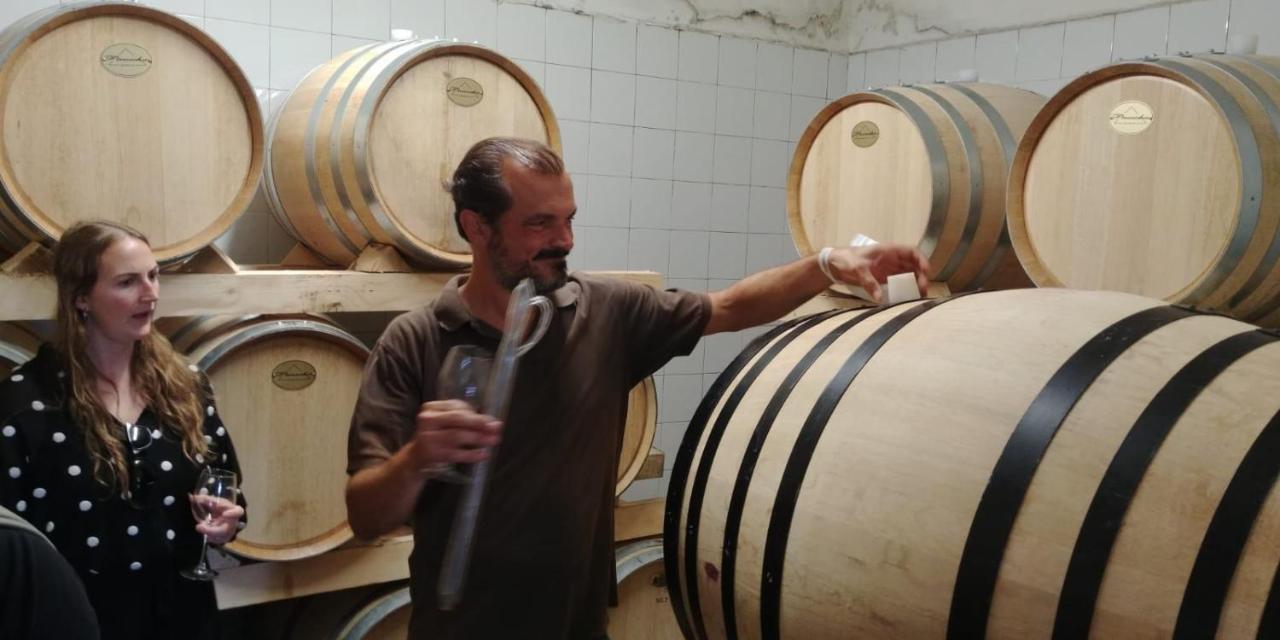 Podere Dell'Anselmo Montespertoli Εξωτερικό φωτογραφία