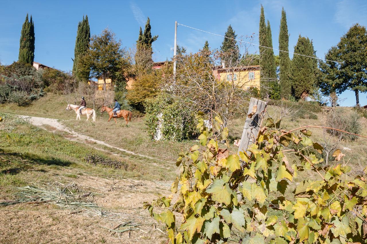 Podere Dell'Anselmo Montespertoli Εξωτερικό φωτογραφία
